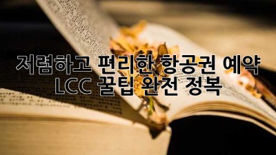 저렴하고 편리한 항공권 예약, LCC 꿀팁 완전 정복!